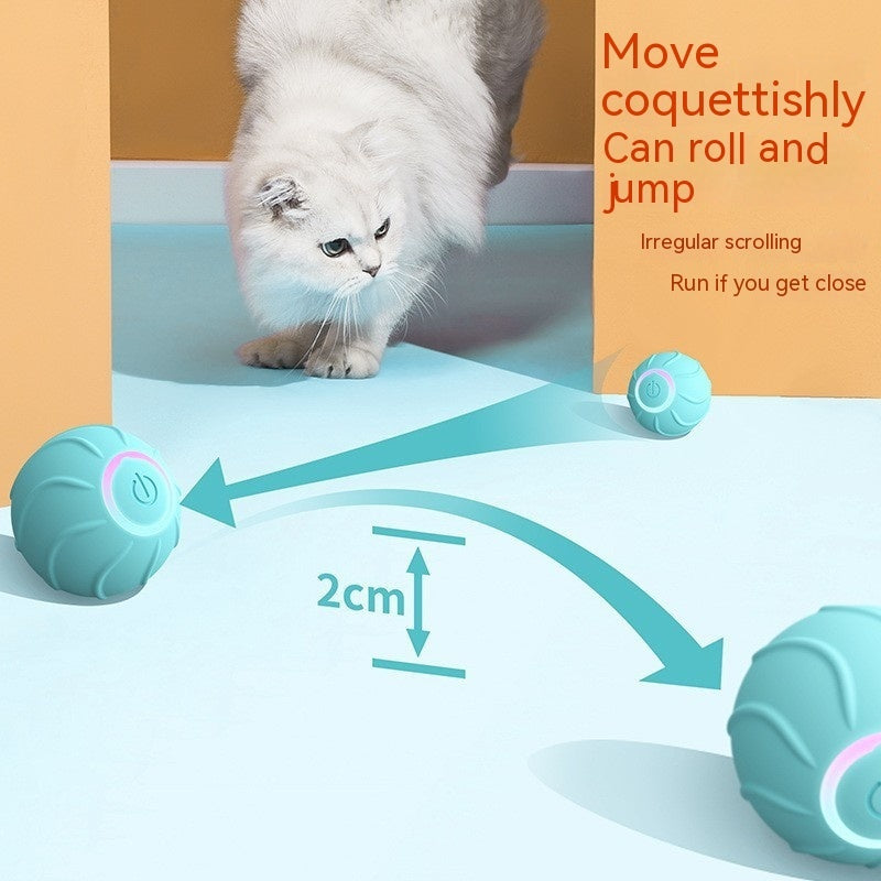 Smart Rolling Cat Toy