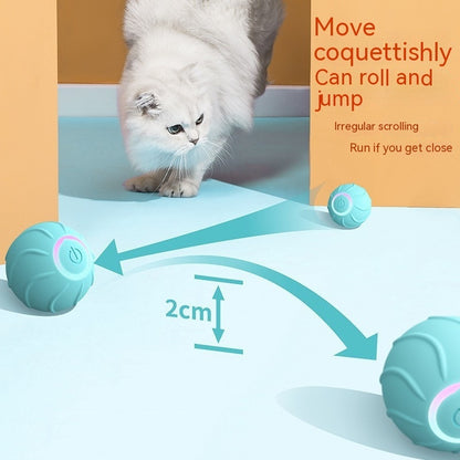 Smart Rolling Cat Toy