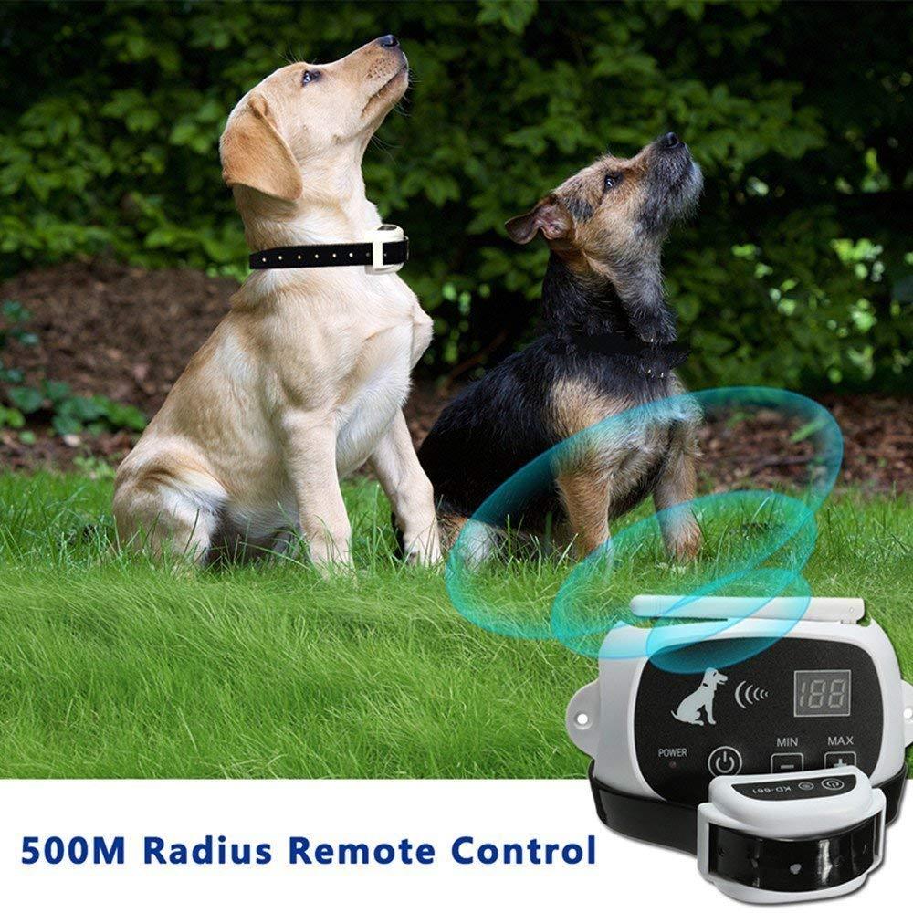 Electronic Pet Fence System