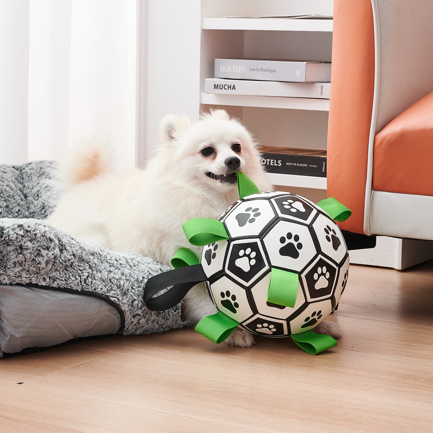 Interactive Dog Football Toy