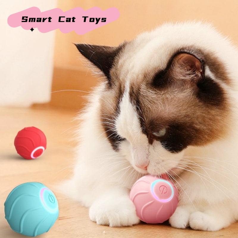 Smart Rolling Cat Toy