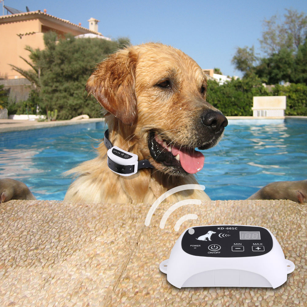 Electronic Pet Fence System